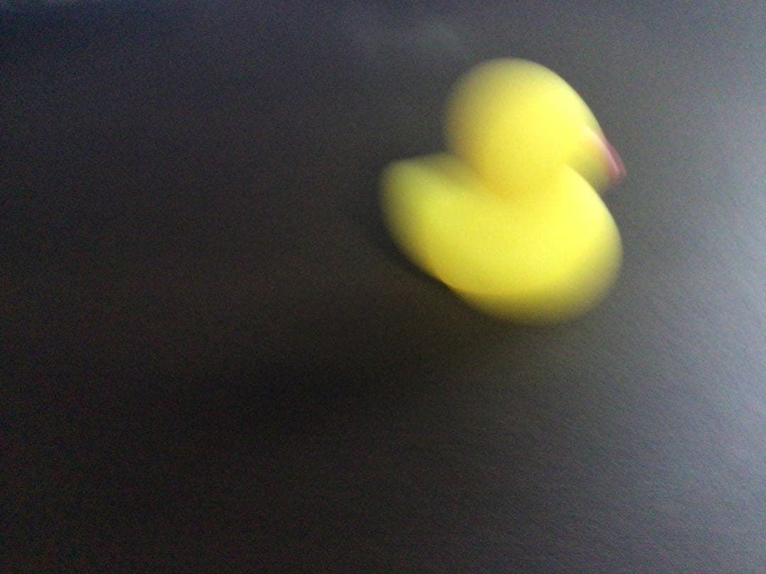 ひよこです。