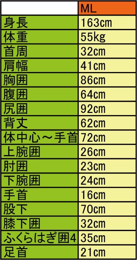 国内生産/ALL3mフルスーツ/クラッシックウェットスーツ/レディースMLサイズ