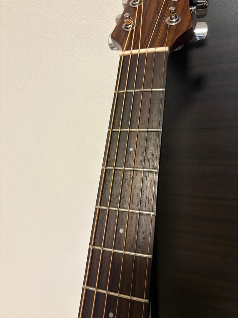 A.C.ZEMAITIS エレアコ CAG-100HW-E ゼマイティス
