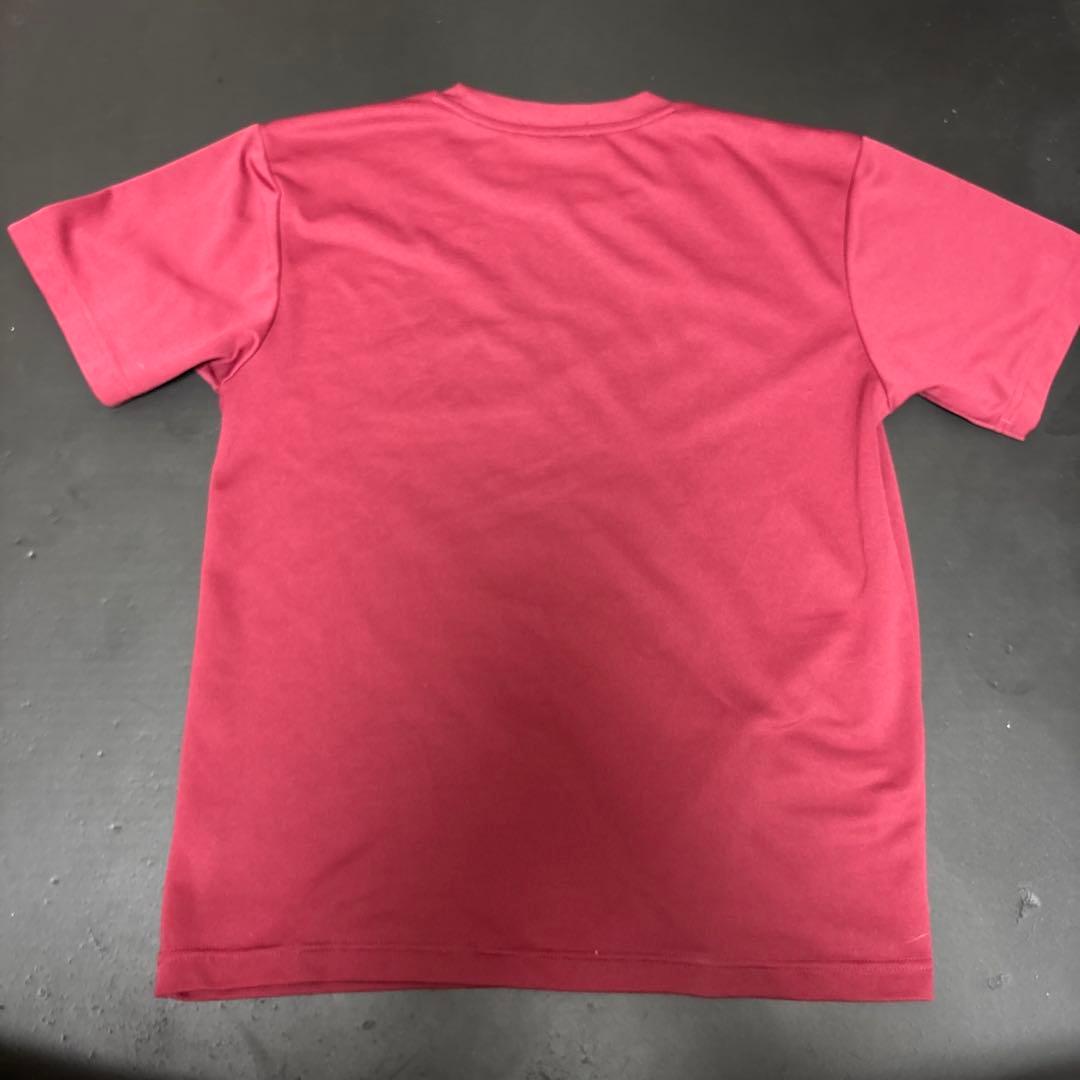 激レア 早稲田大学バレーボール 歴代優勝記念Tシャツ