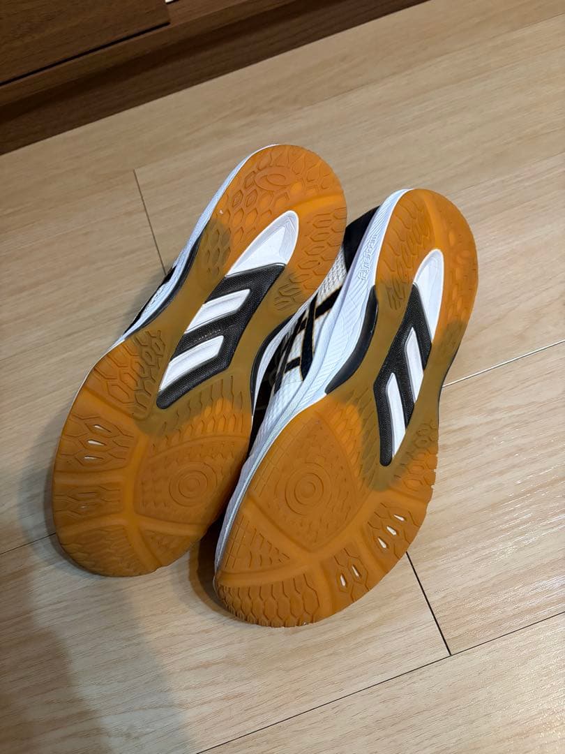 ASICS バレーボールシューズ 26.5 JAPANモデル