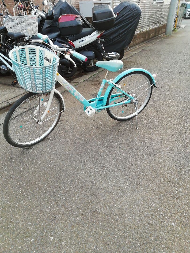 ブリヂストン子供用自転車　22インチ　エコパル