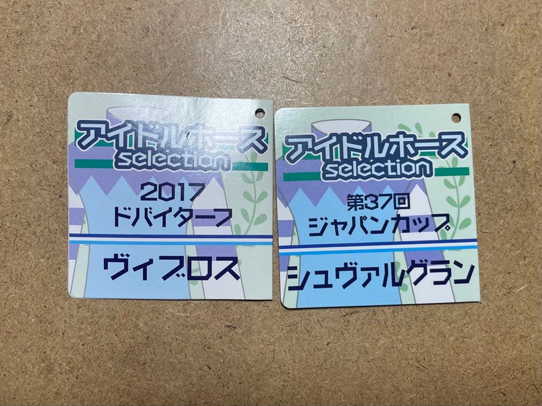 アイドルホース　シュヴァルグラン　ヴィブロス