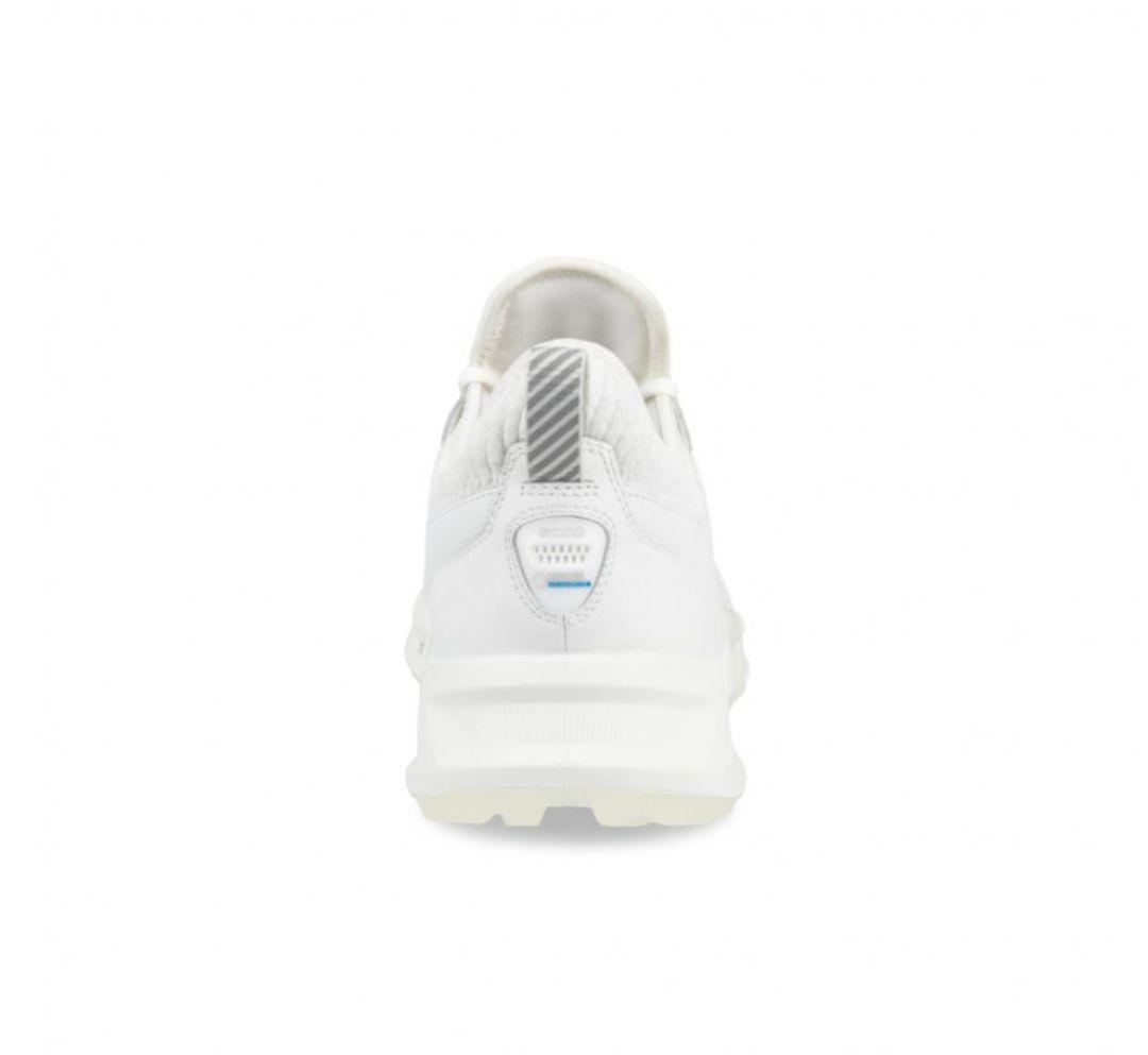 エコー スパイクレス ゴルフシューズ ECCO BIOM C4 Gore-Tex