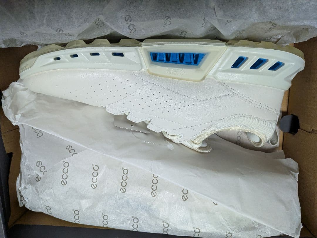 エコー スパイクレス ゴルフシューズ ECCO BIOM C4 Gore-Tex