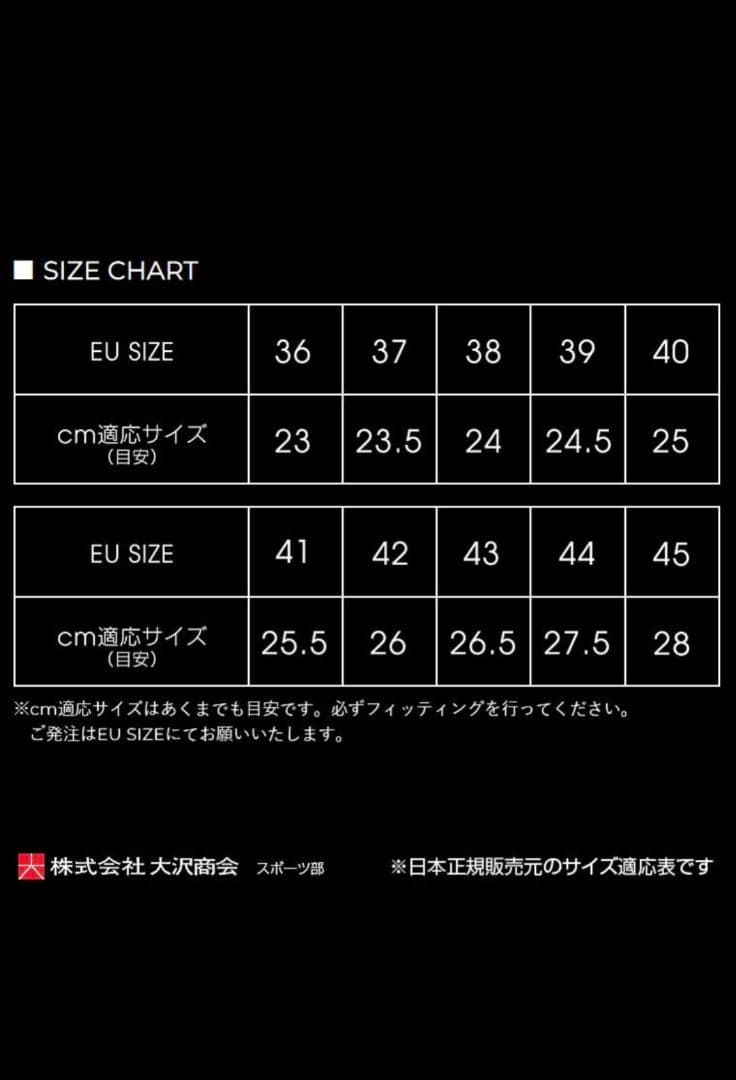 エコー スパイクレス ゴルフシューズ ECCO BIOM C4 Gore-Tex