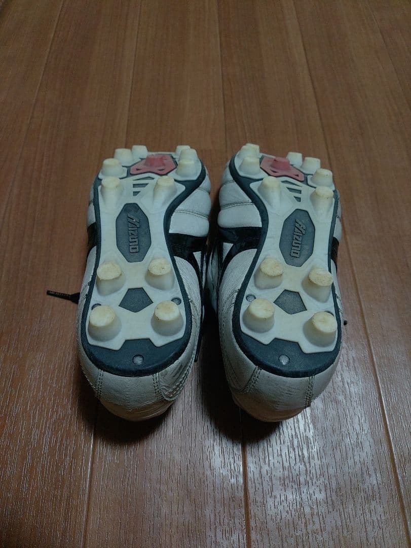 ロトヒ モレリア MORELIA 2 JAPAN