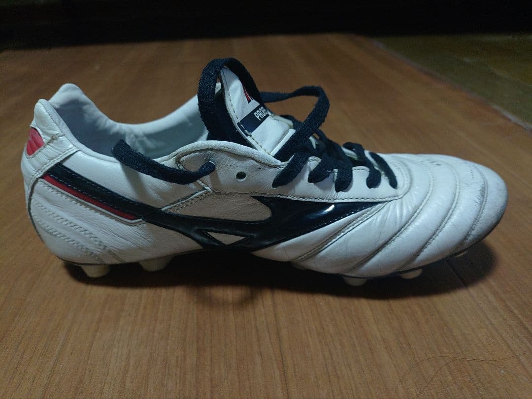 ロトヒ モレリア MORELIA 2 JAPAN