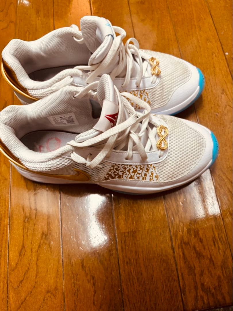 (箱あり) NIKE JA1 Chinese New Year 27.5㎝