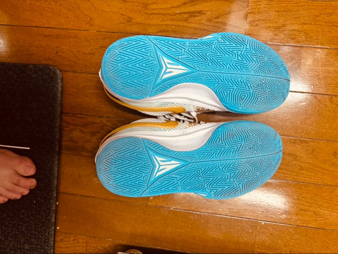 (箱あり) NIKE JA1 Chinese New Year 27.5㎝