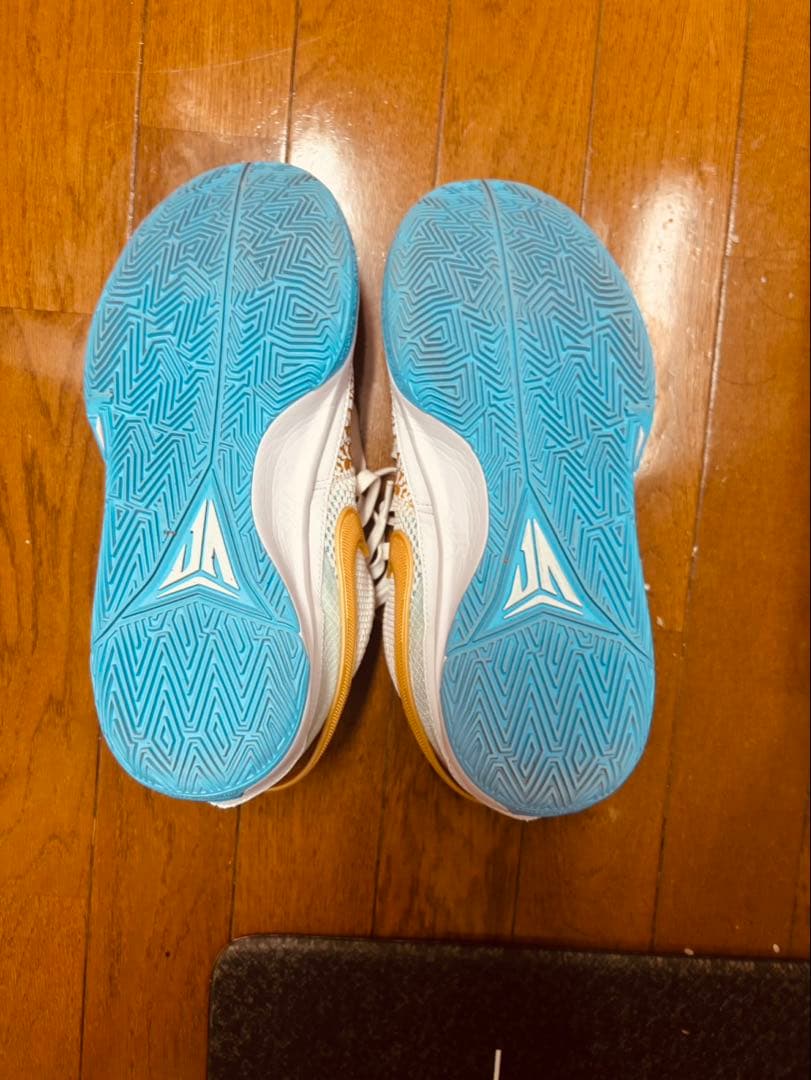(箱あり) NIKE JA1 Chinese New Year 27.5㎝
