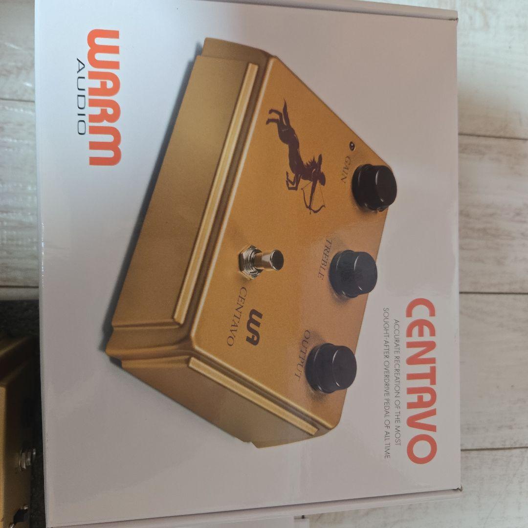 ギター Warm Audio centavo