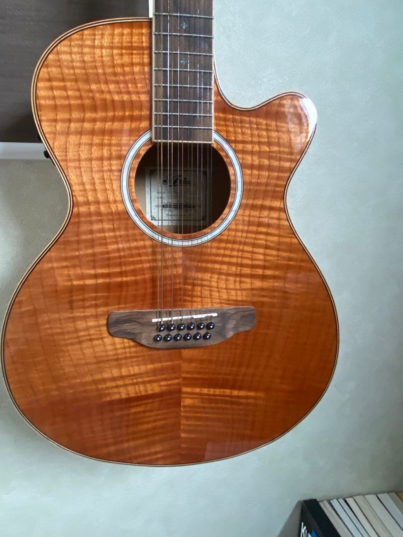 中古　アリア　ARIA 12弦　エレアコ