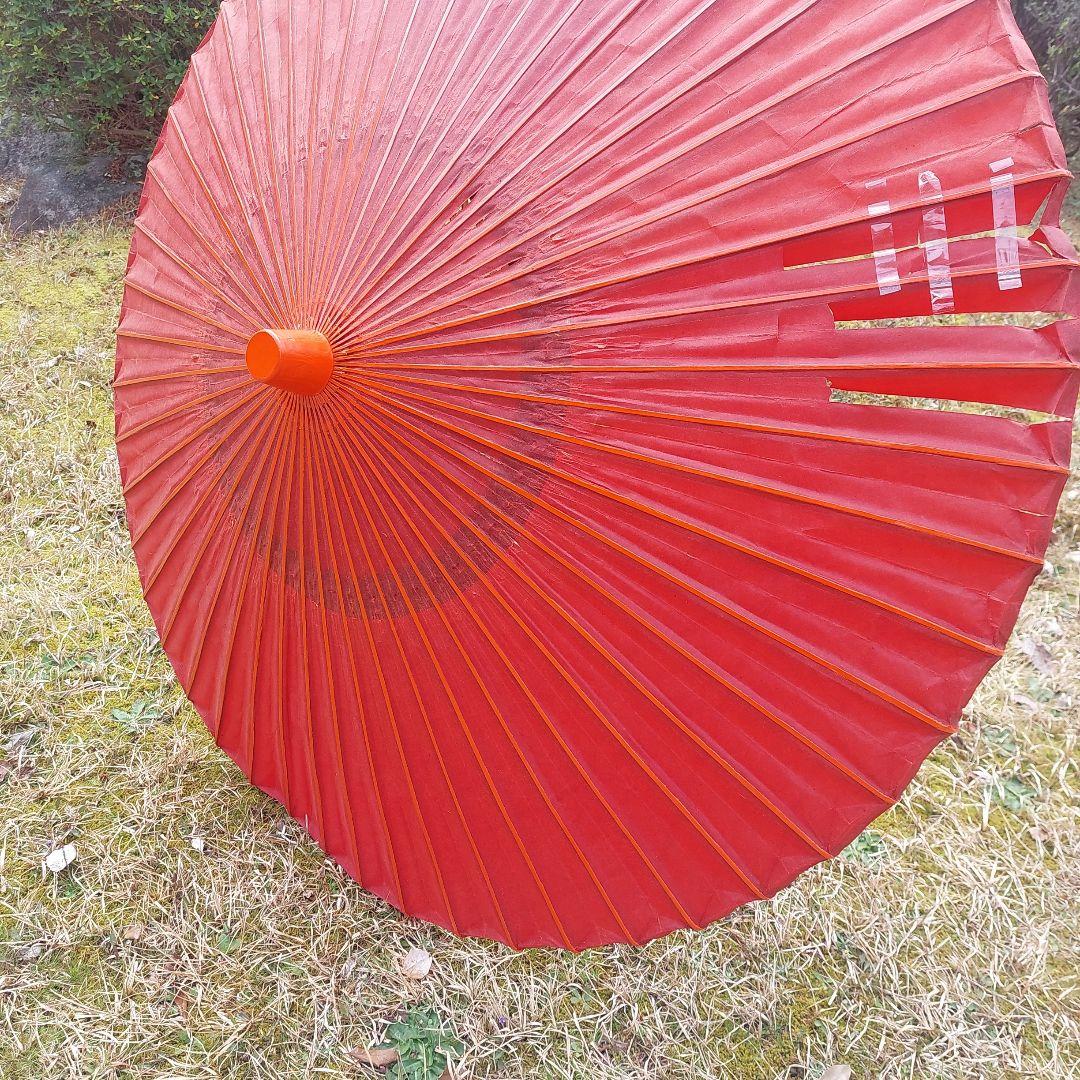 野点傘　２．５尺のサイズ全長196cm、傘の直径141cm