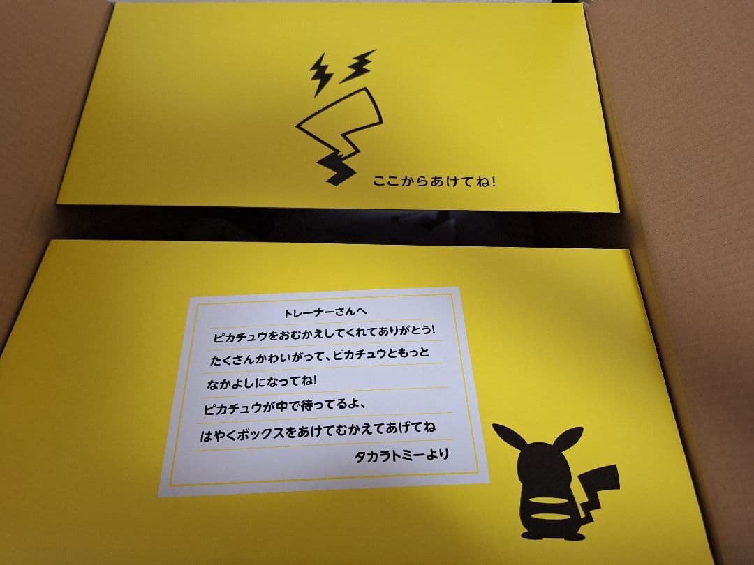 おかえり！ピカチュウ1/1 専用BOX付き　はじまりのピカチュウ