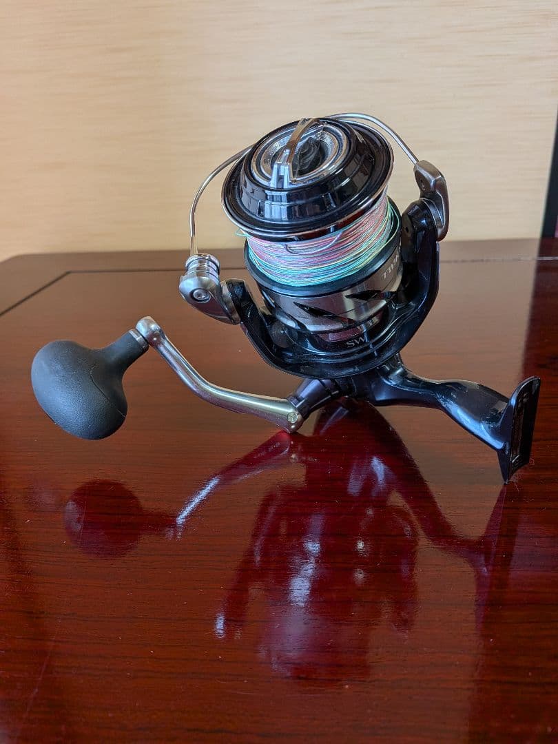 21 SHIMANO ツインパワーSW 10000HG シマノ