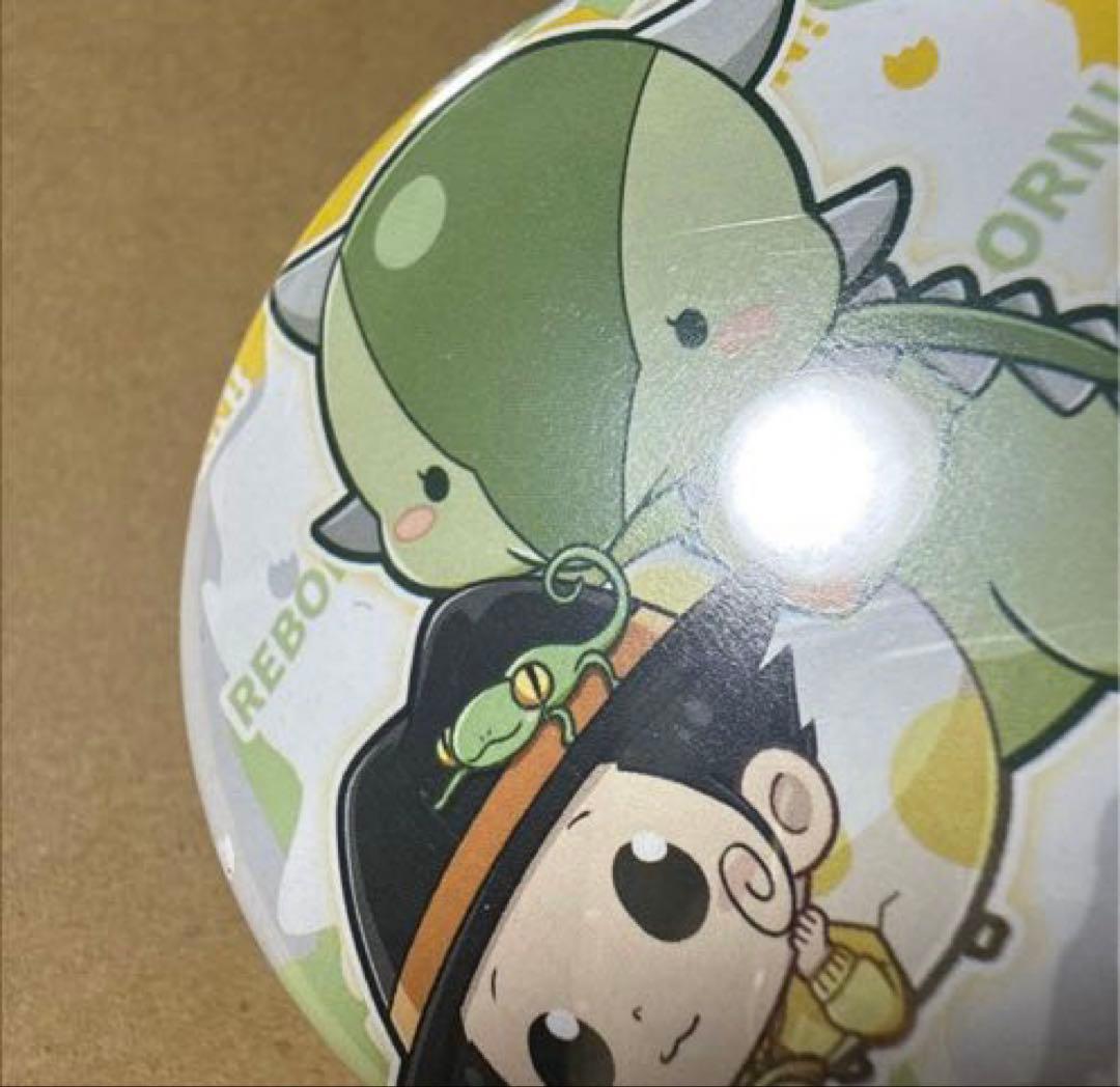 家庭教師ヒットマンREBOR きゃおこれ 缶バッジセット
