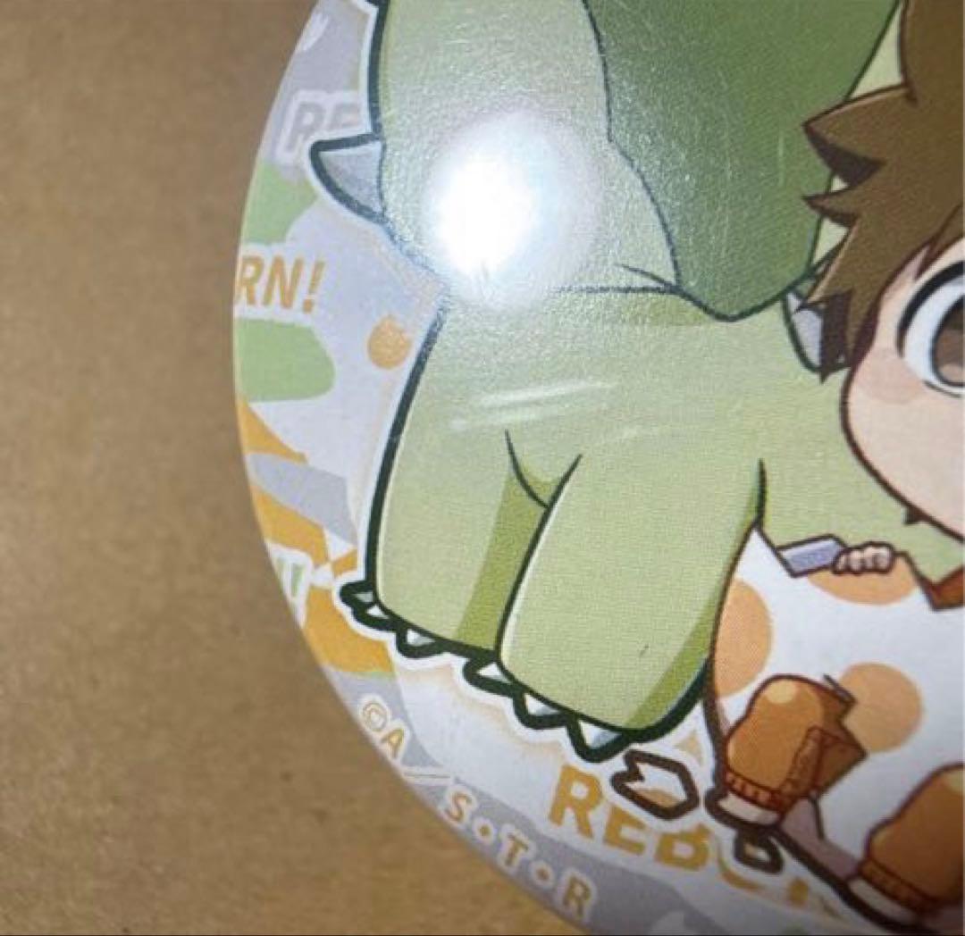 家庭教師ヒットマンREBOR きゃおこれ 缶バッジセット