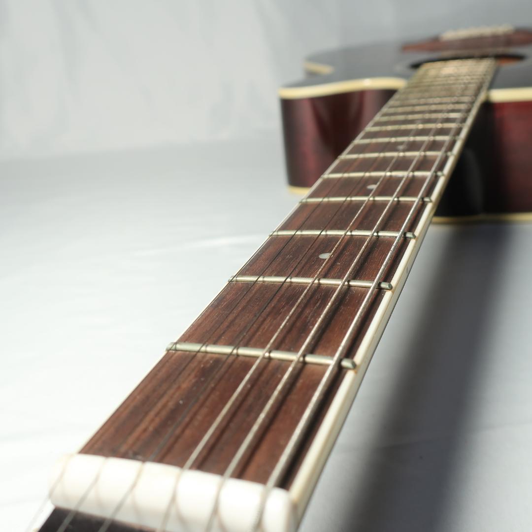 Ibanez AEG450 TP エレアコ ギター ハードケース付 虎杢パープル