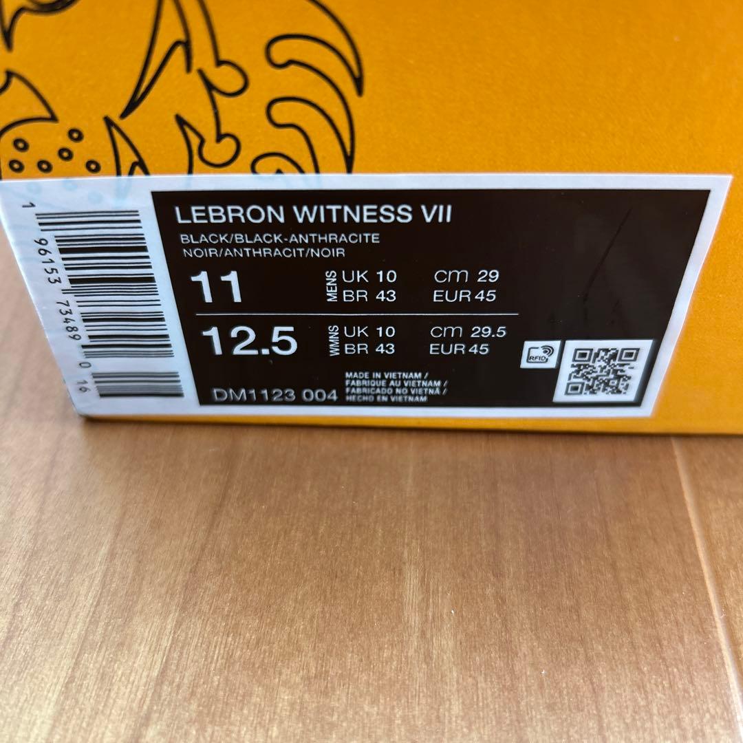 NIKE 29cm レブロン ウィットネス7 黒
