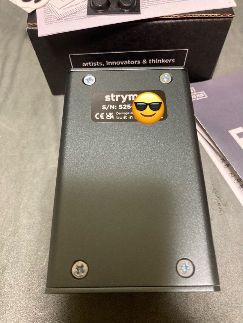strymon ec-1 テープエコー