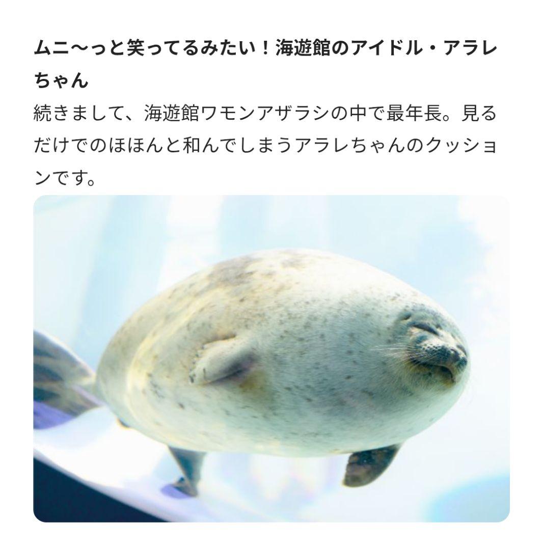 YOU+MORE! のほほんアザラシアラレちゃん もっちりビッグクッション