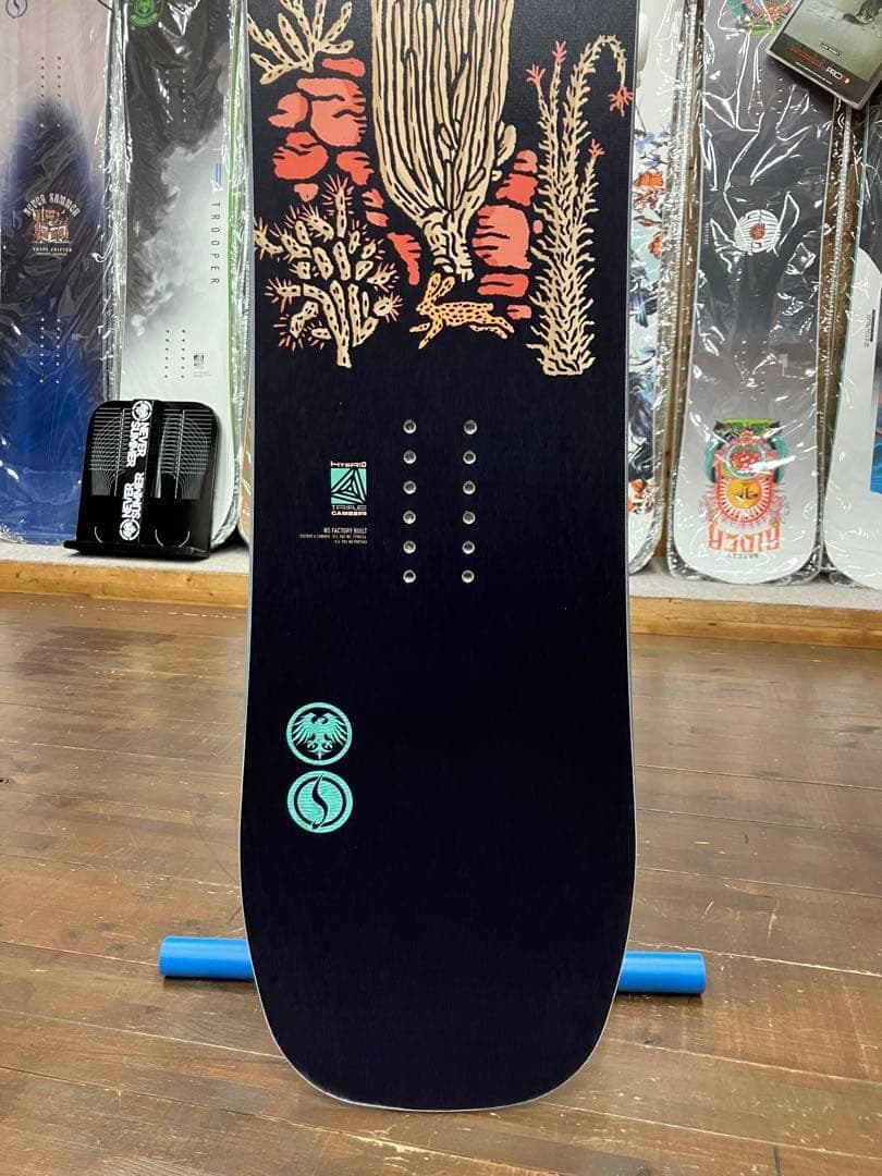【新品】アウトレット 25-26 NEVER SUMME CIRRUS 145