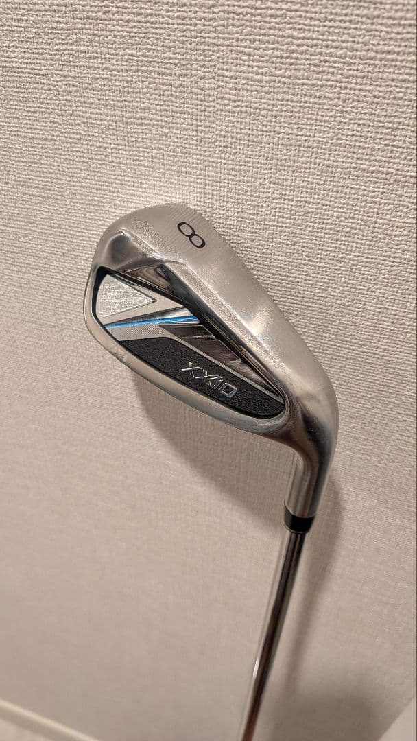 ゼクシオ XXIO 14 6-P 5本 NS PRO 850NEO DST R