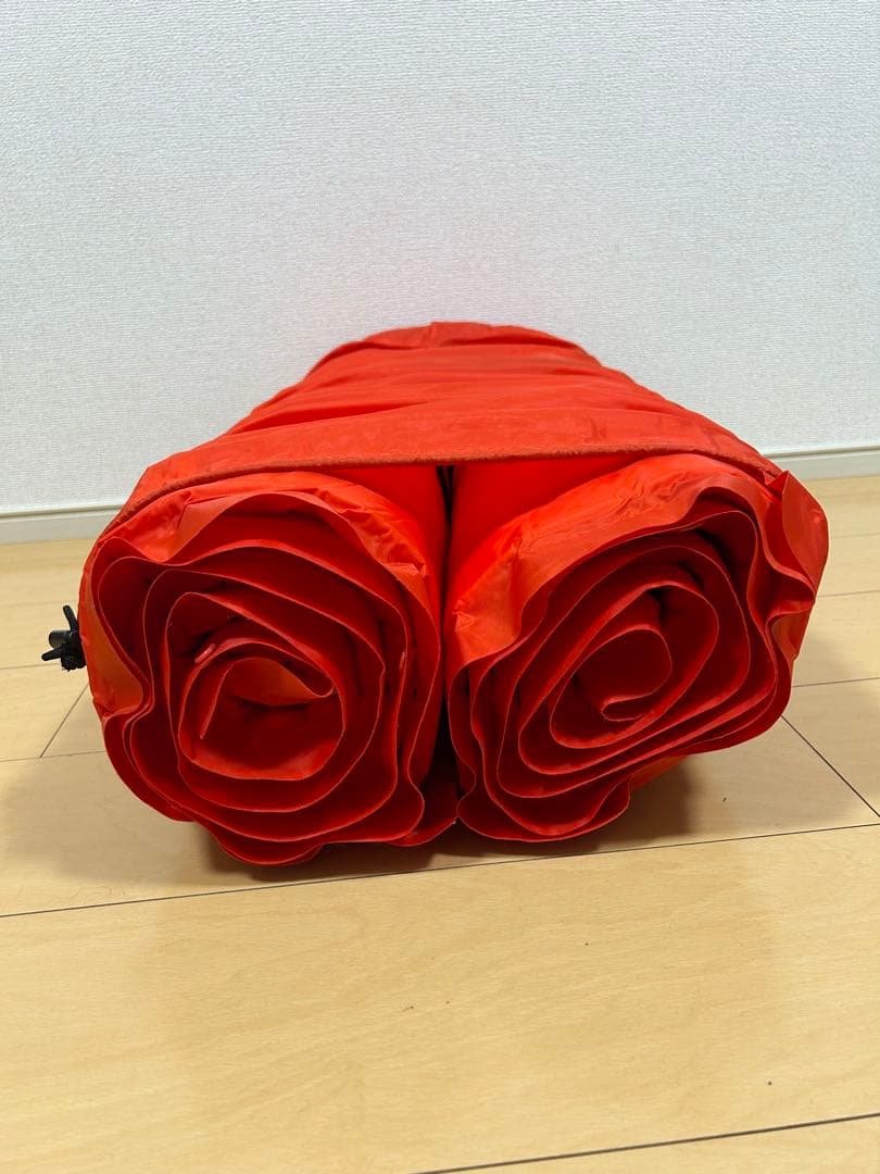 Coleman インフレーターマット2個セット
