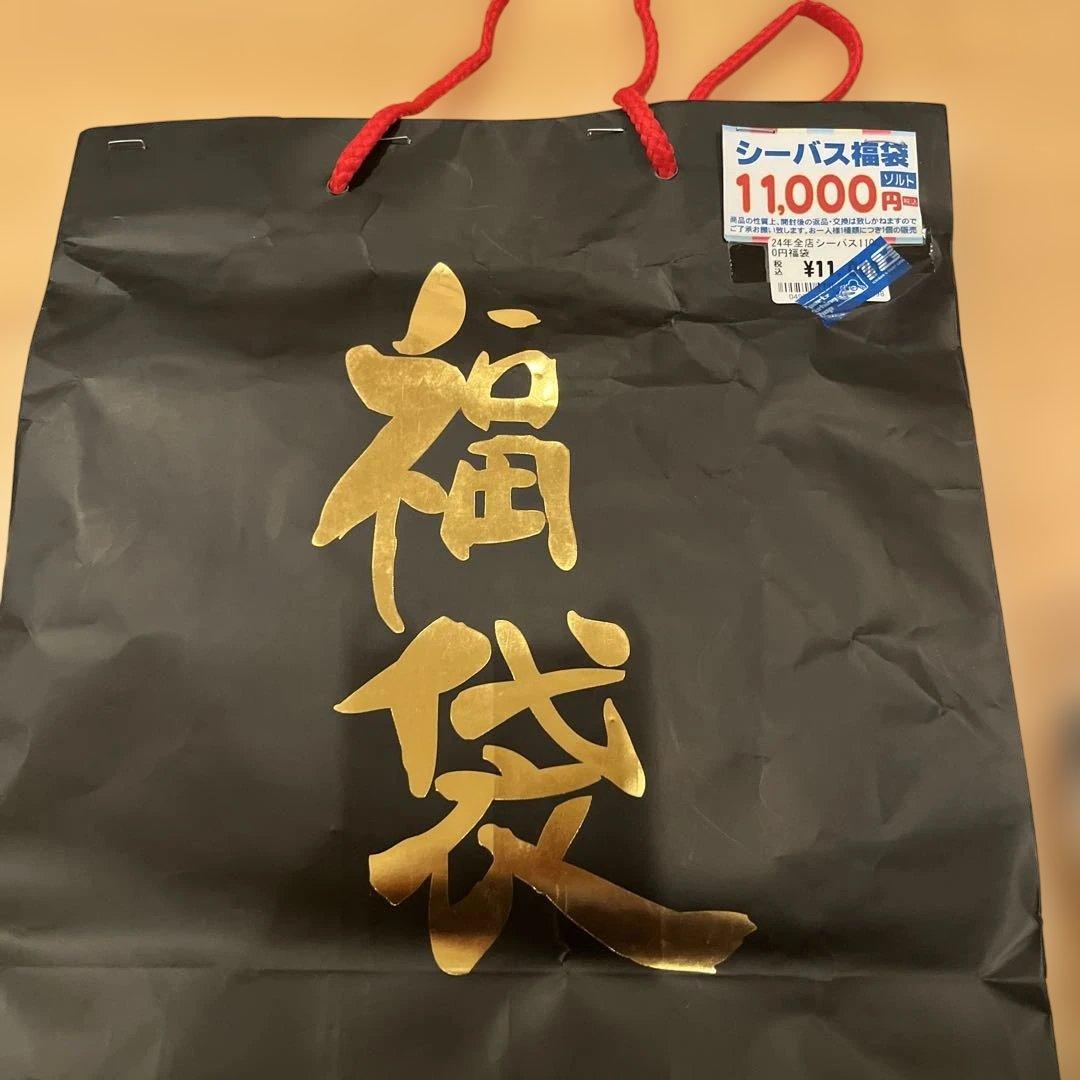 シーバス ルアーセット