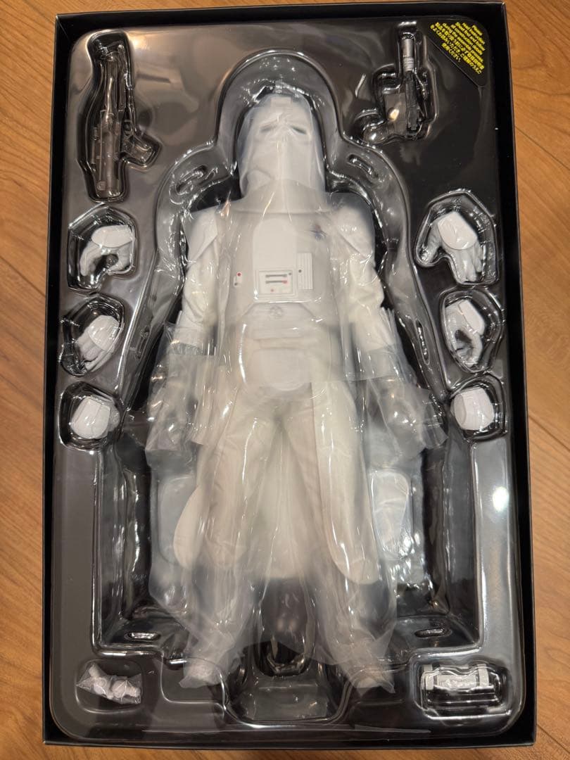 HotToys Star Wars スターウォーズ ホットトイズ レイア ホス版