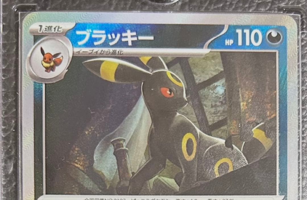 ブラッキー マスターボールミラー テラスタルフェス
