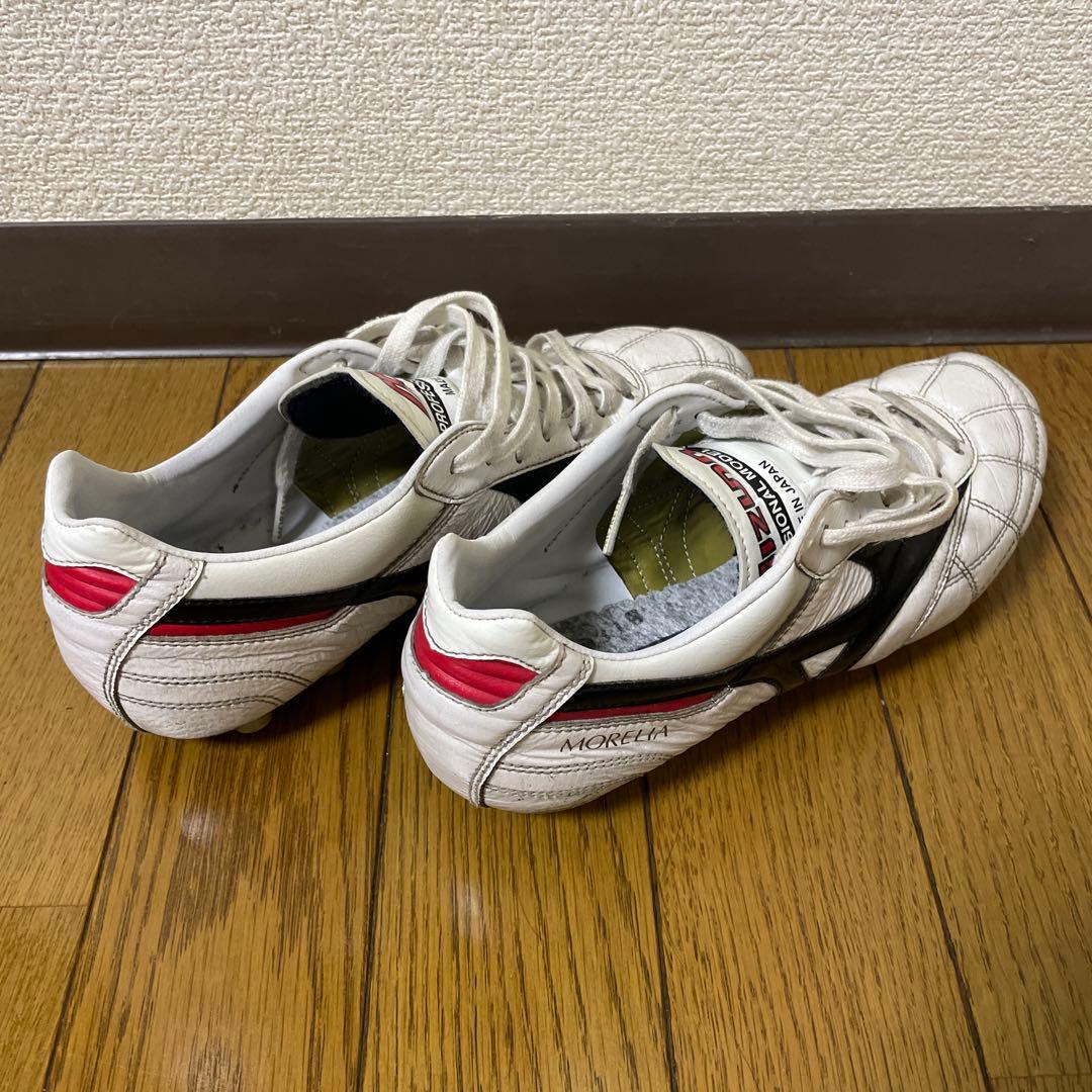 入手困難　モレリア2ジャパン　クロスステッチ　23.5cm