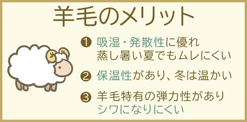 【新品・未開封】 フランスベッド 羊毛メッシュベッドパッド
