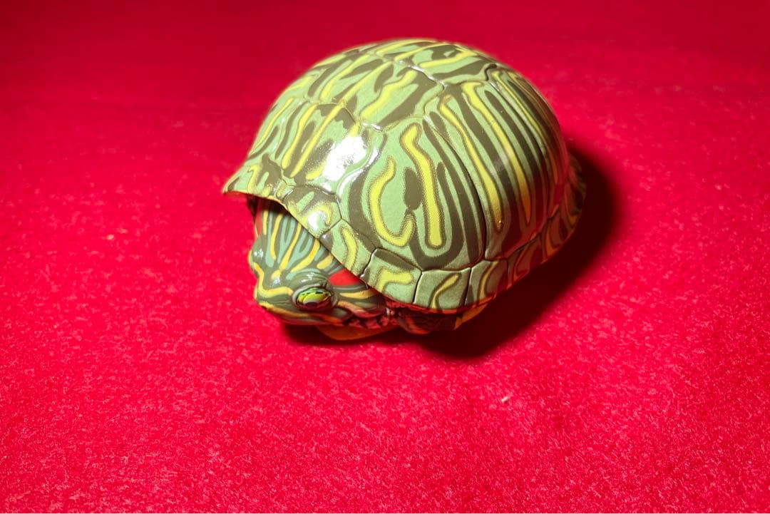 動物の惑星　廃盤　ミシシッピアカミミガメ