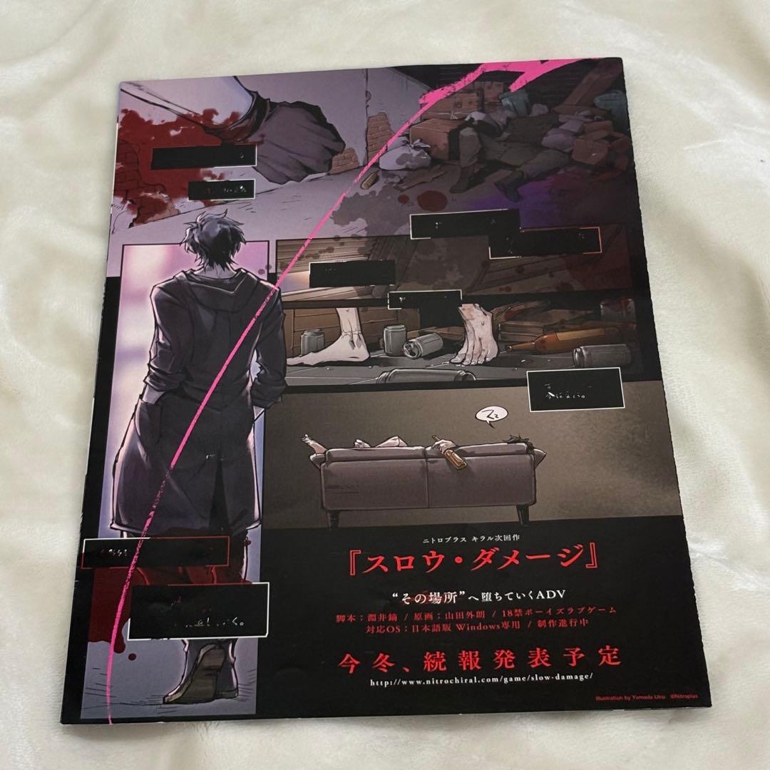スロウダメージ フライヤー スロダメ