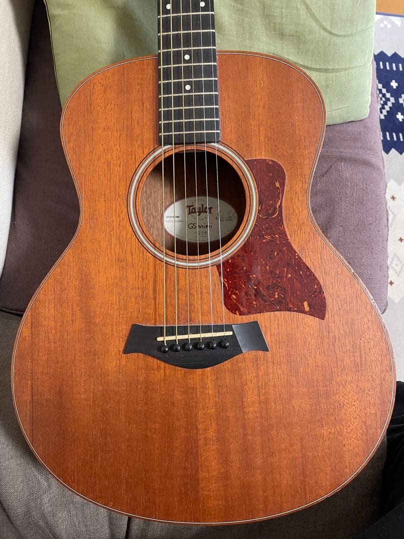 Taylor GS mini 専用ケース付き