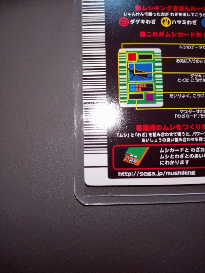 し*の様 2003春 コーカサスオオカブト 青キラ 極美品