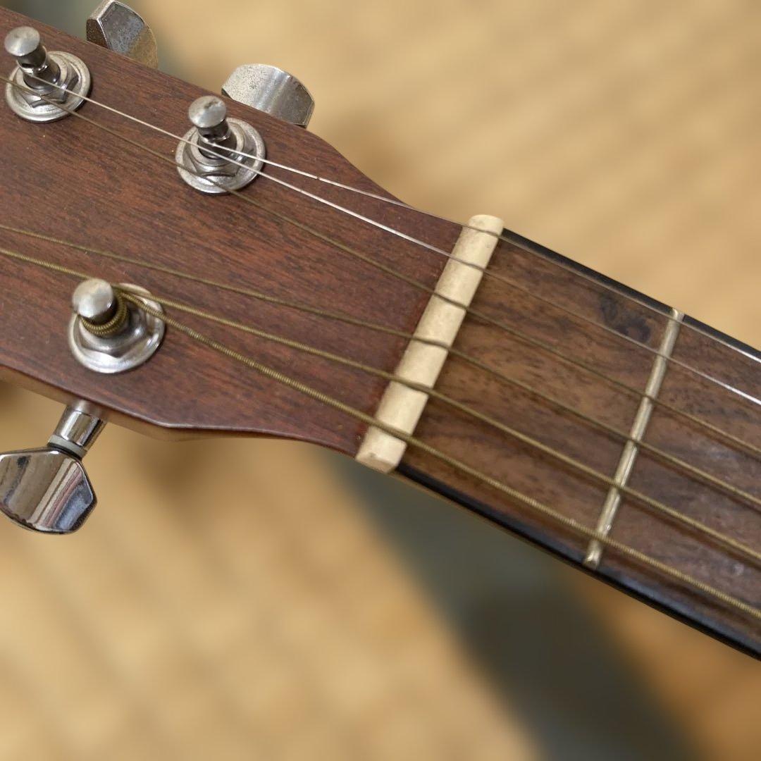 ギター MORRIS LA-231 NS