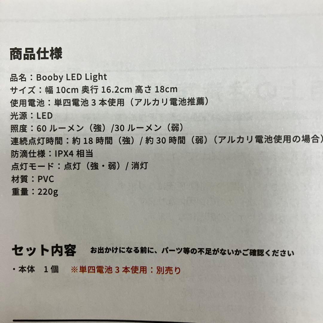 CHUMS ブービーエルイーディーライト