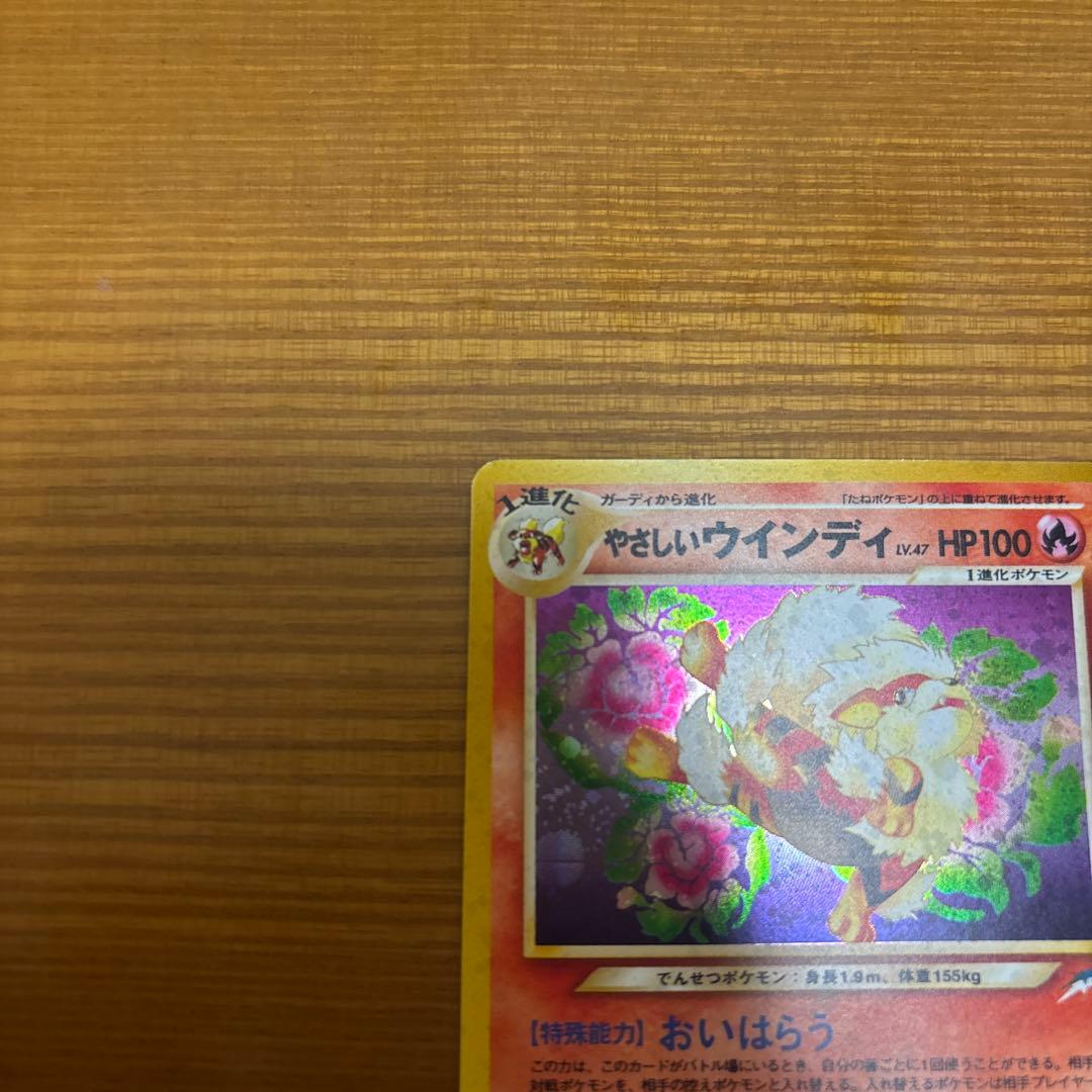 やさしいウインディ　旧裏　渦巻きあり