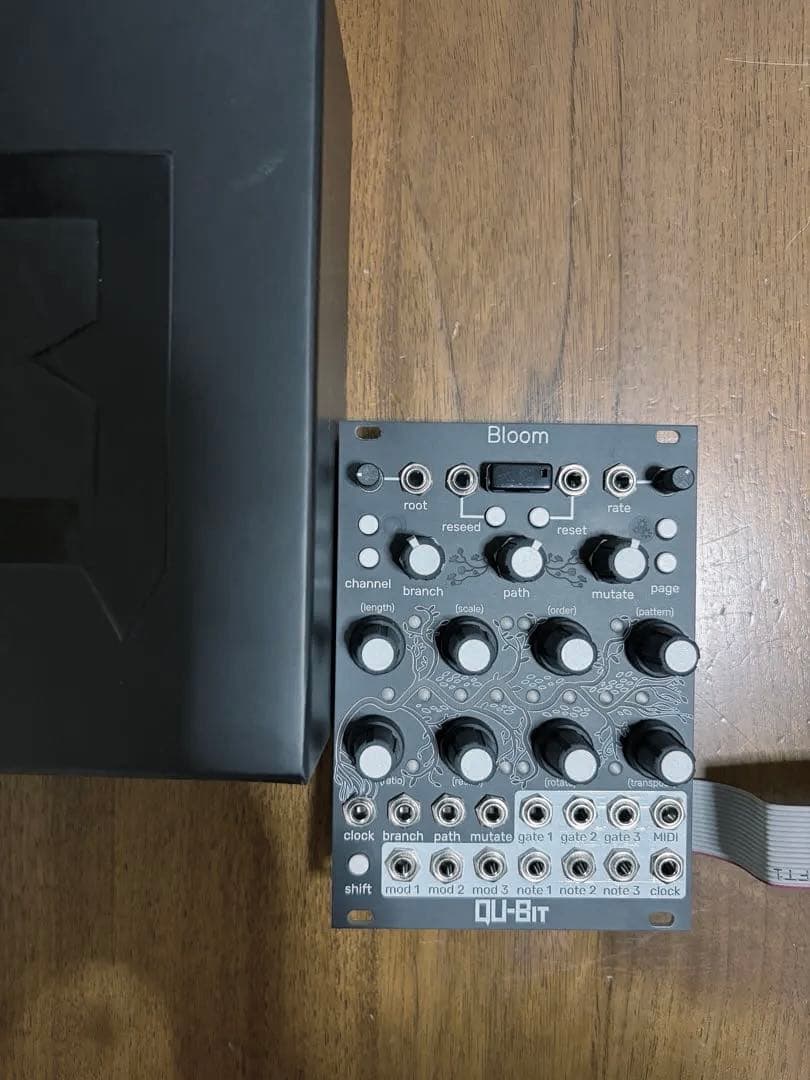 大幅値下げQu-bit Electronix Bloom v2