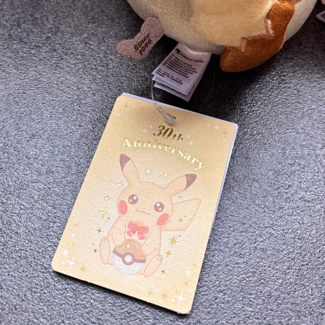 【2点セット】お顔厳選ピカピカ！ピカチュウ 30周年記念 ぬいぐるみ＆マスコット