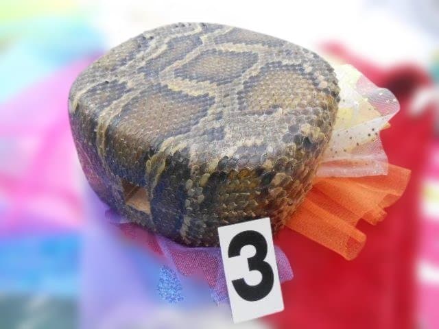 #3H現品販売　新品未使用14.980円　N蛇皮強化二重張型チーガ今年３月作成