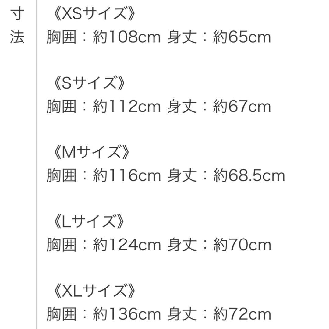 ZUMBA WEAR XS ホワイト Tシャツ