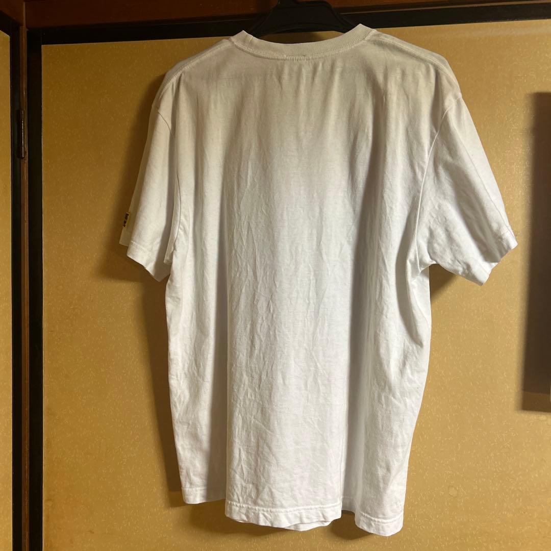ハードコア　チョコレートTシャツなめネコ