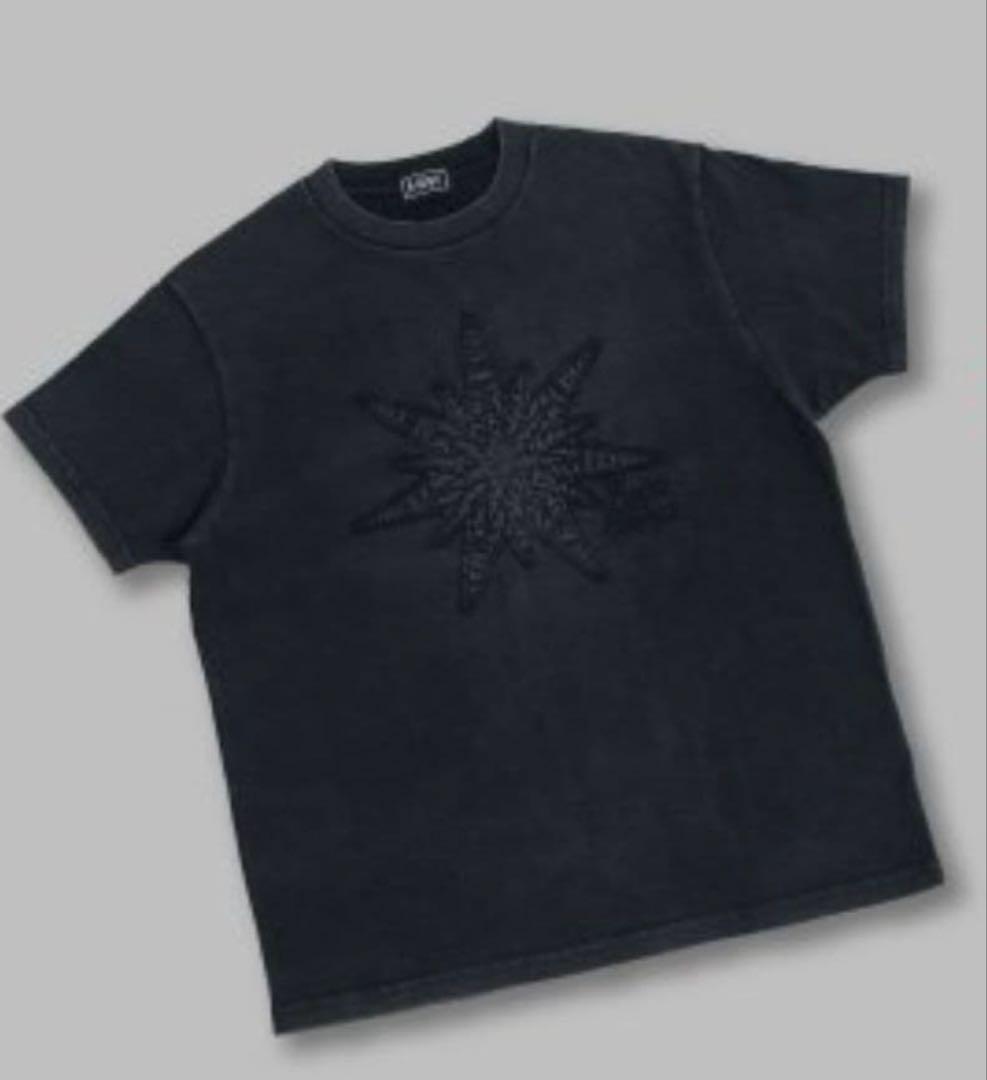 新品 未開封 HANA born to bloom Tシャツ ライブ