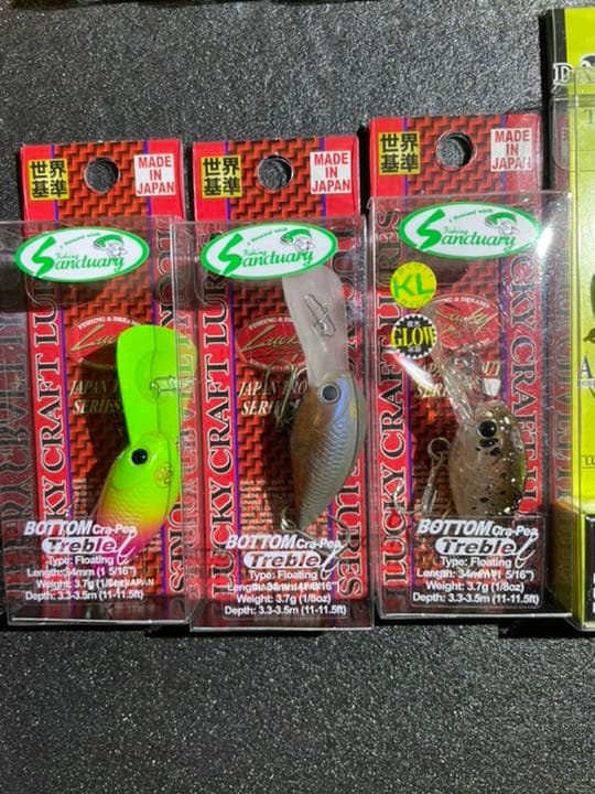 【サンクチュアリオリカラコレクション】 ☆限定１セット！早い者勝ち