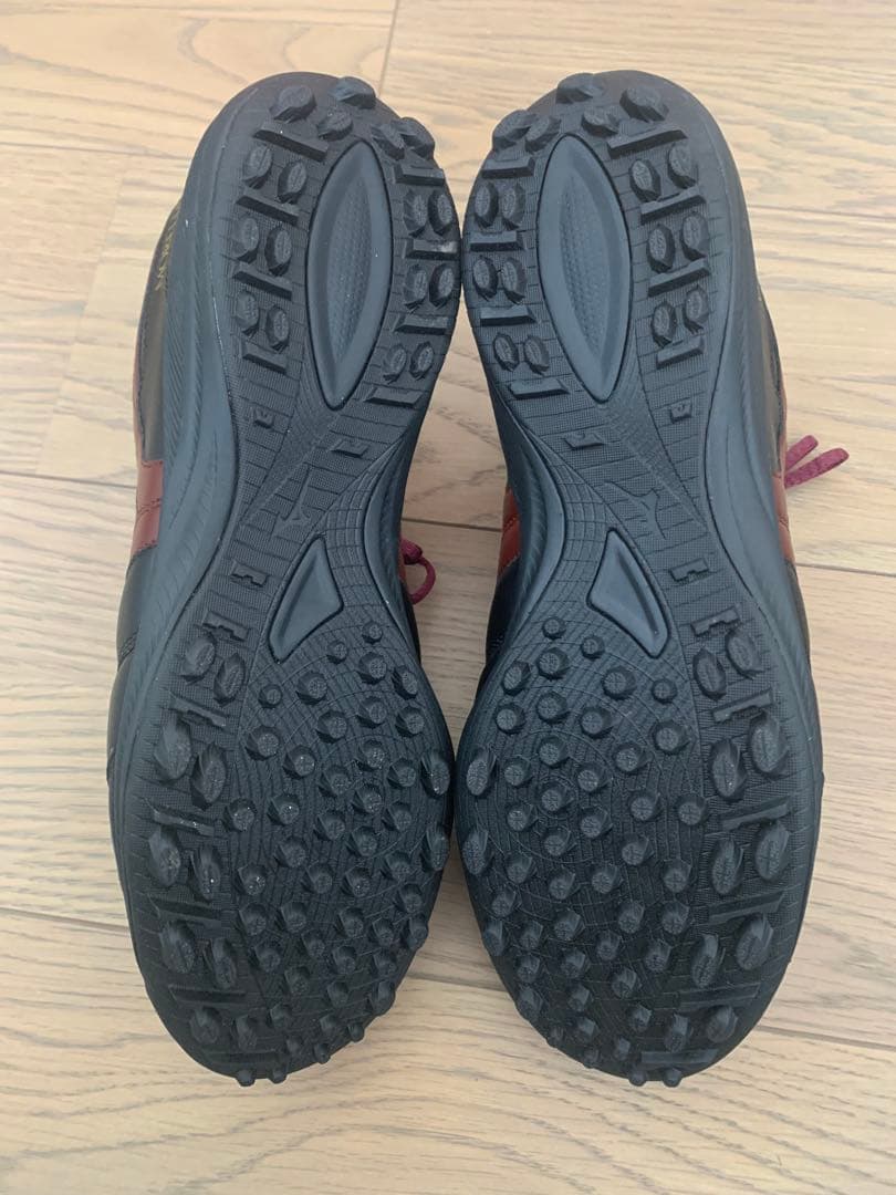 Mizuno モレリア サラ ジャパン TF