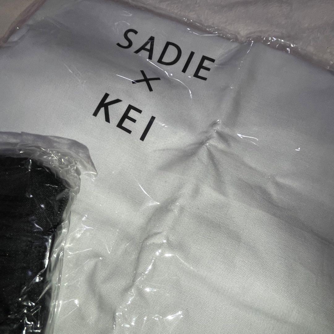 Sadie 景 vanish